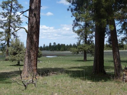 Property in Grant County, Oregon