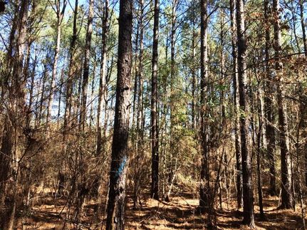 Property in Clark County, Arkansas