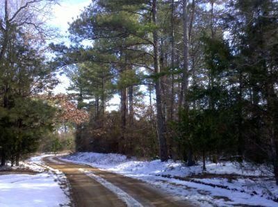 Property in Dallas County, Arkansas