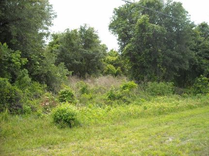 Property in Citrus County, Florida
