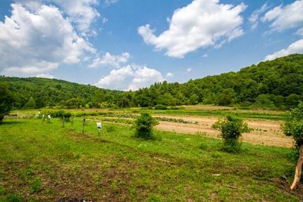 Property in Carroll County, Virginia