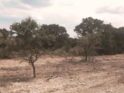 Property in Burnet County, Texas