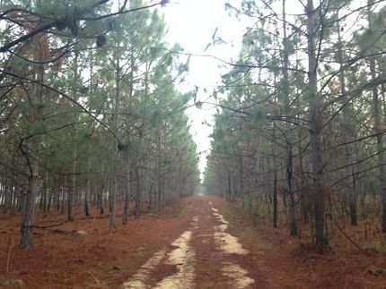 Property in Geneva County, Alabama