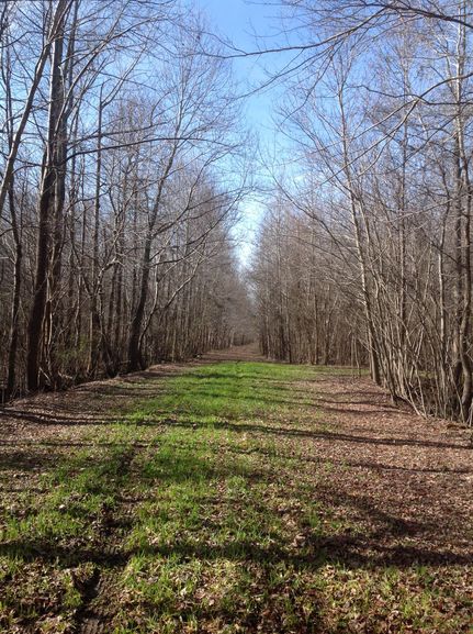 Property in Currituck County, North Carolina