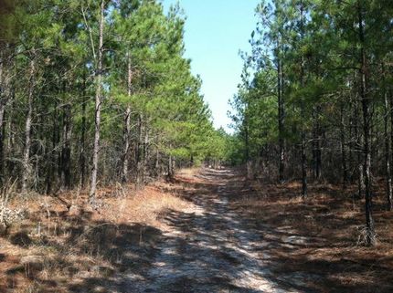 Property in Emanuel County, Georgia