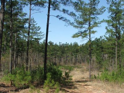Property in Emanuel County, Georgia