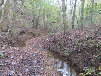 Property in Chilton County, Alabama