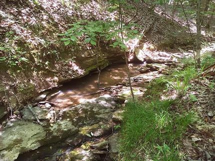 Property in Walker County, Alabama