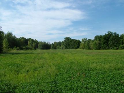 Property in Eaton County, Michigan