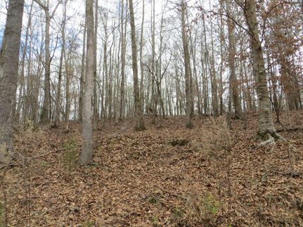 Property in Lee County, Alabama