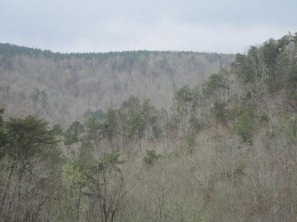 Property in Fayette County, Alabama