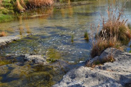 Property in Irion County, Texas