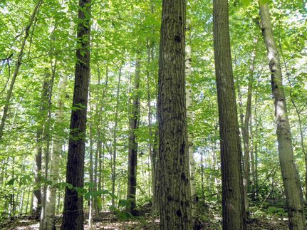 Property in Washington County, New York