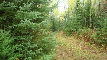 Property in Oneida County, Wisconsin