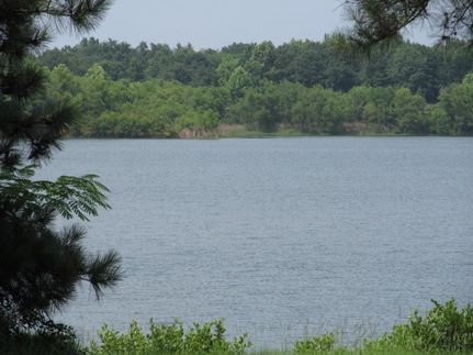 Property in Montgomery County, Alabama