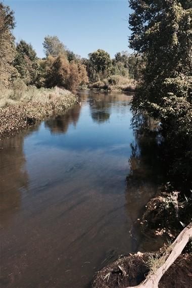 Property in Shiawassee County, Michigan