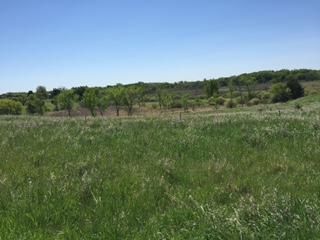 Property in Chisago County, Minnesota