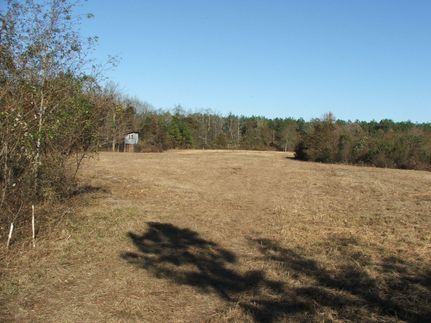 Property in Screven County, Georgia