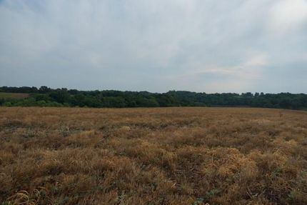 Property in Wayne County, Iowa