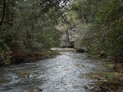 Property in Marion County, Alabama