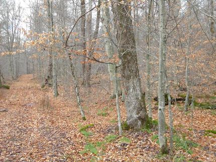 Property in Chenango County, New York