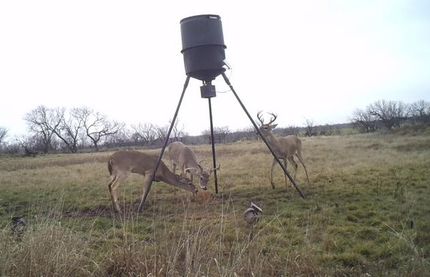 Property in Coleman County, Texas