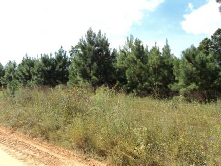 Property in Shelby County, Texas