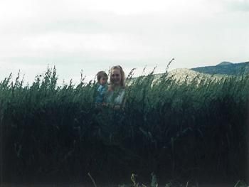 Property in Colfax County, New Mexico