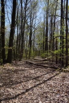 Property in Hancock County, Tennessee