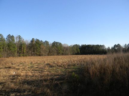 Property in Bullock County, Alabama