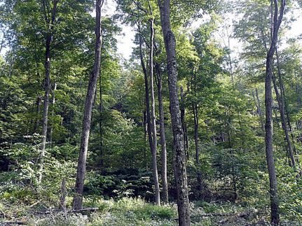 Property in Luzerne County, Pennsylvania