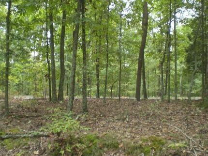 Property in Hawkins County, Tennessee
