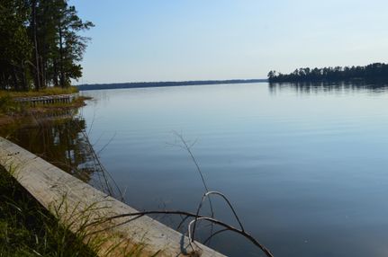 Property in Titus County, Texas