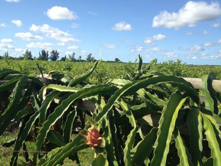 Property in Miami-Dade County, Florida