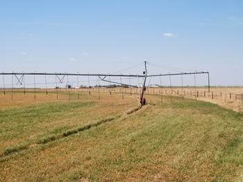 Property in Castro County, Texas