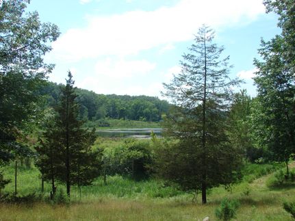 Property in Lenawee County, Michigan