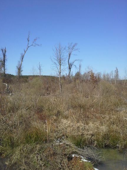 Property in Ashley County, Arkansas