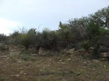 Property in McCulloch County, Texas