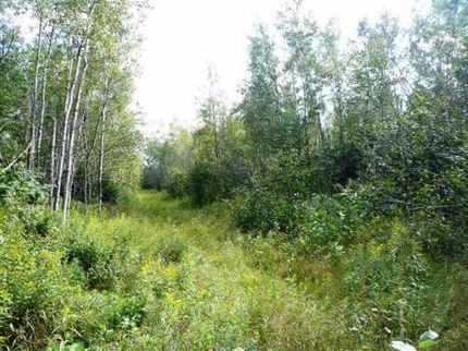 Property in Saint Louis County, Minnesota