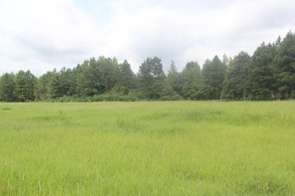 Property in Benton County, Mississippi