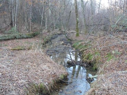 Property in Floyd County, Virginia