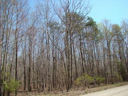 Property in Buckingham County, Virginia