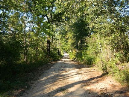 Property in Red River County, Texas