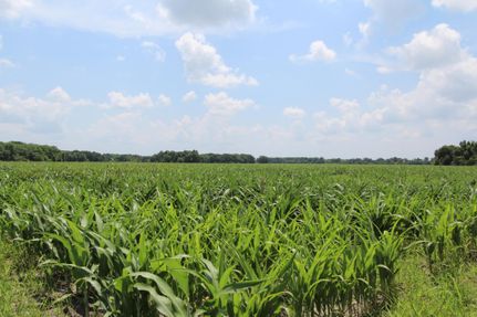 Property in Lamar County, Texas