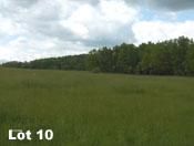 Property in Fleming County, Kentucky