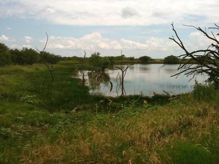 Property in Throckmorton County, Texas