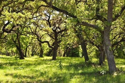 Property in Bandera County, Texas