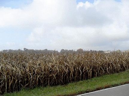 Property in Montgomery County, Ohio