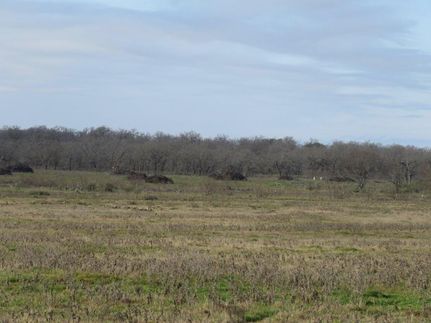 Property in San Saba County, Texas