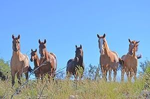 Property in Kinney County, Texas